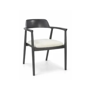 Modern Arm Chair Noir Modern arm chair Noir with dark wood frame and upholstered seat cushion for contemporary dining and hospitality interiors